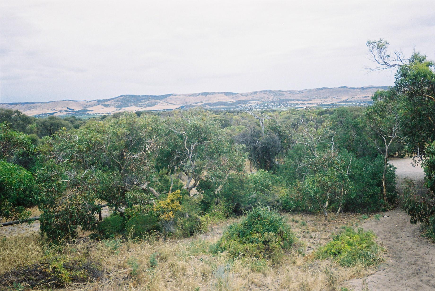 Aldinga Scrub Conservation Park