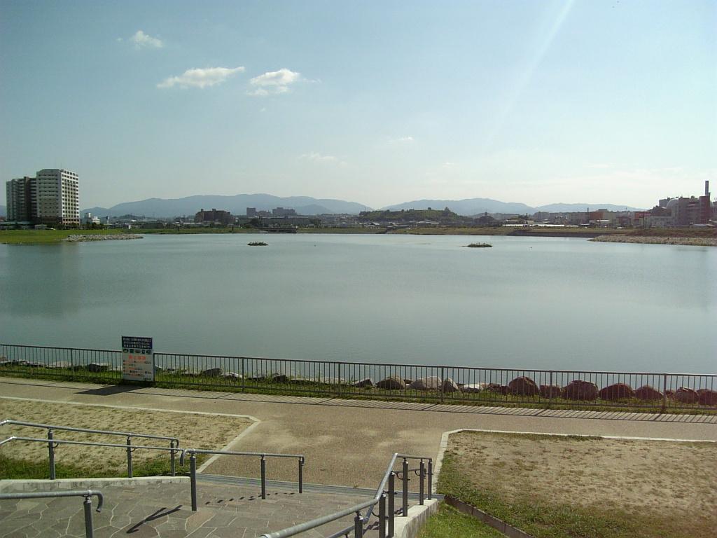 Sayama Pond