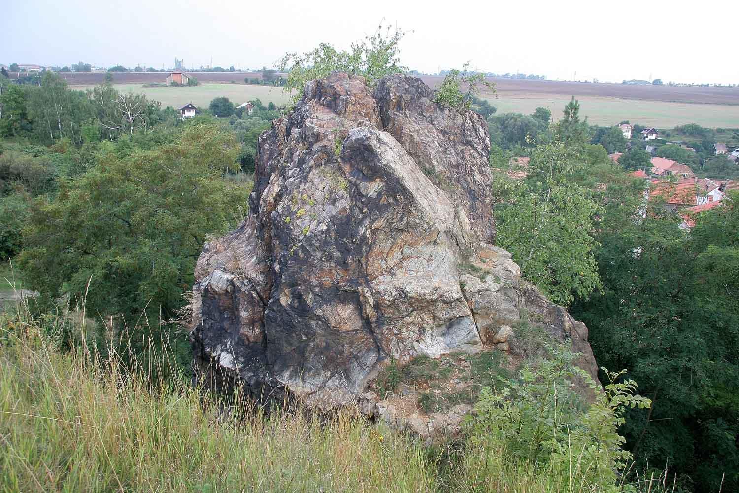 Knezivka