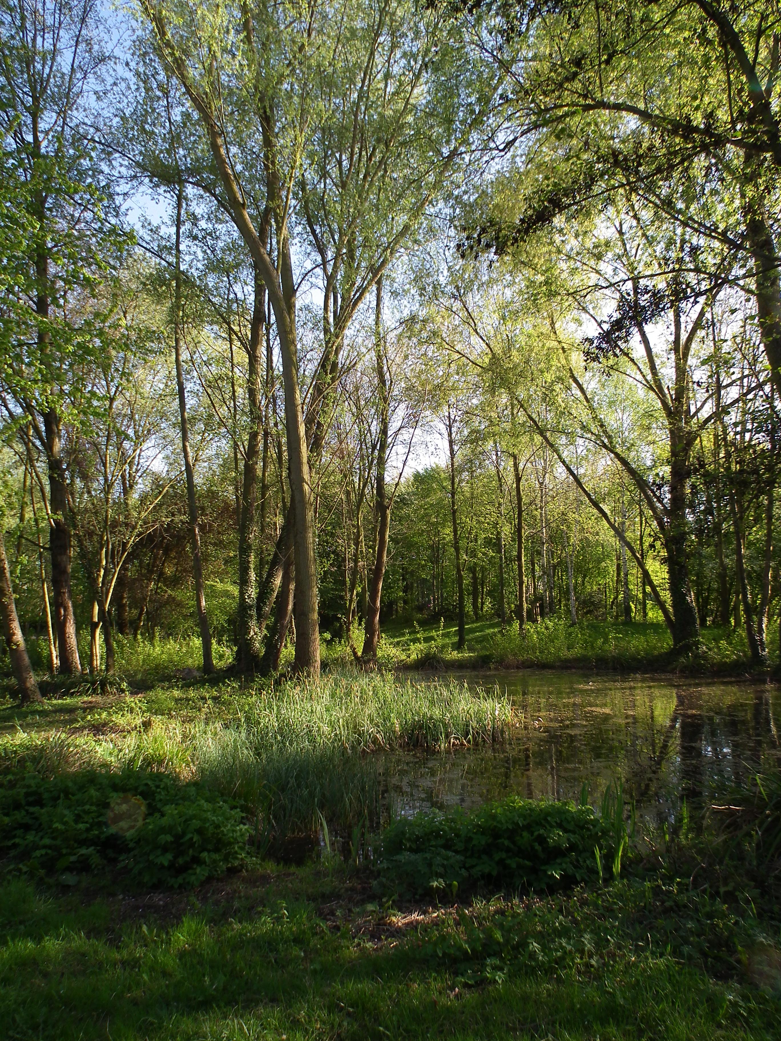Reinhold-Schulz-Waldpark