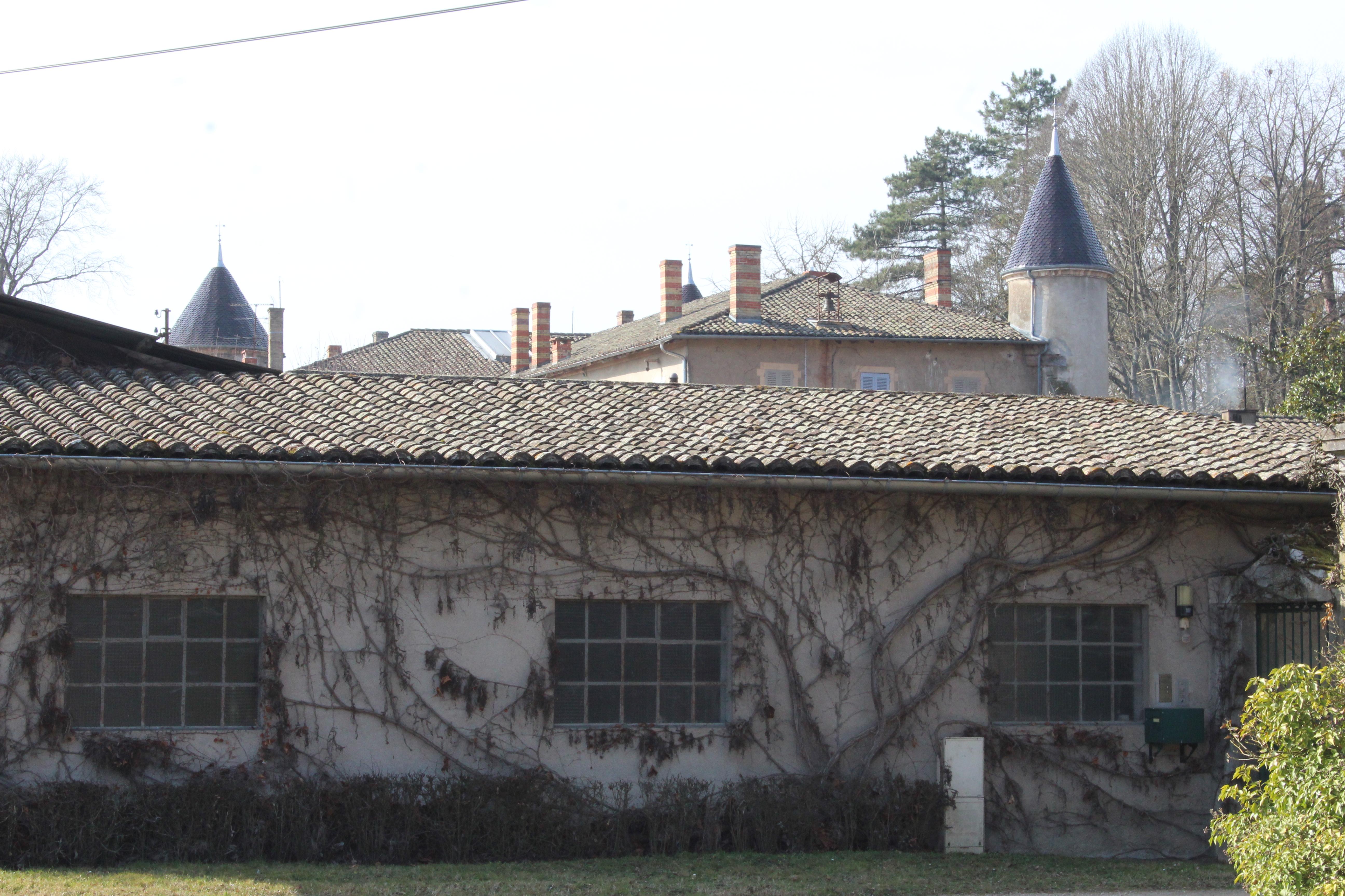 Chateau de l'Aumusse