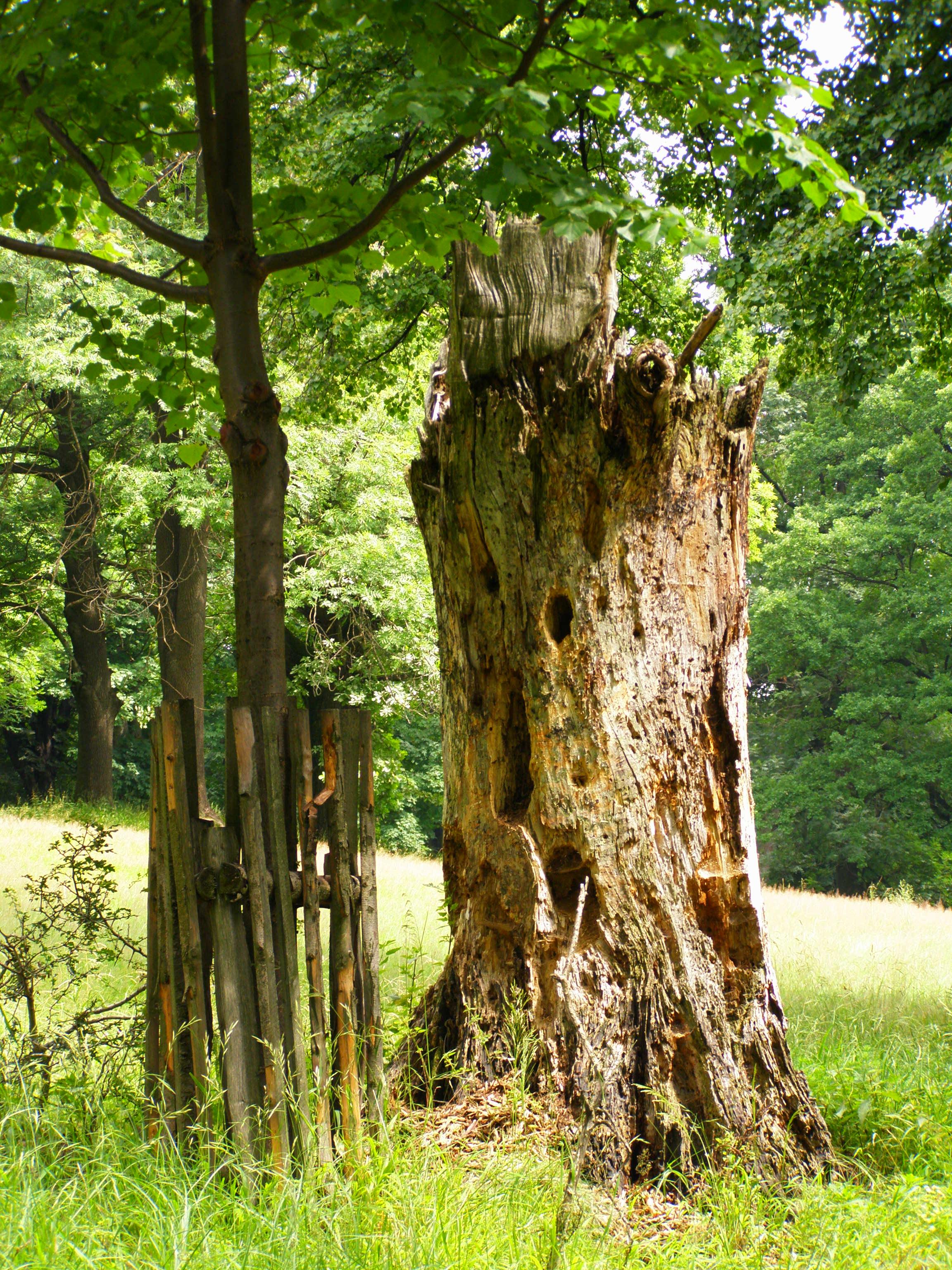 Hradni vrch Hukvaldy