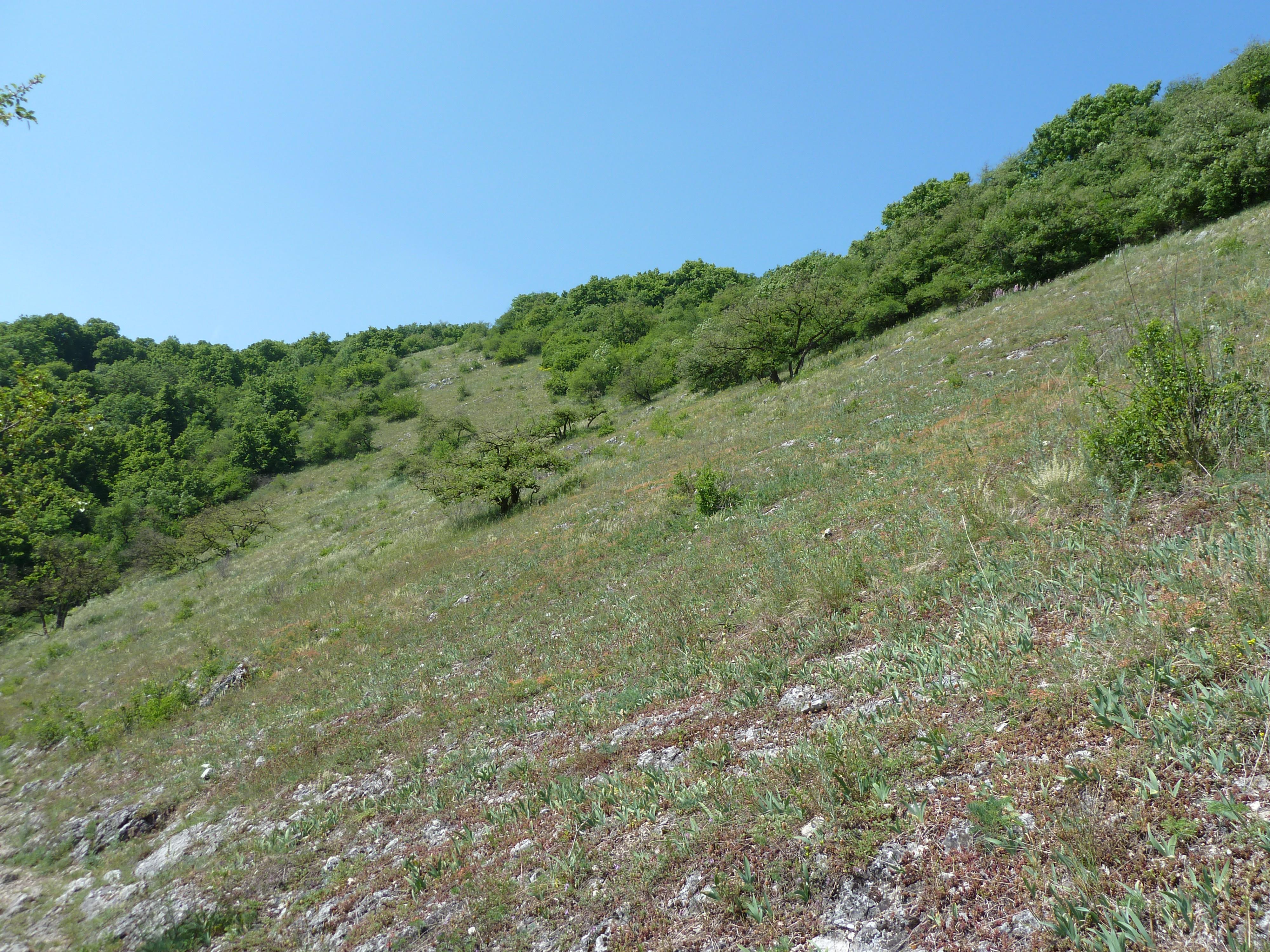 Devin-Kotel-Souteska