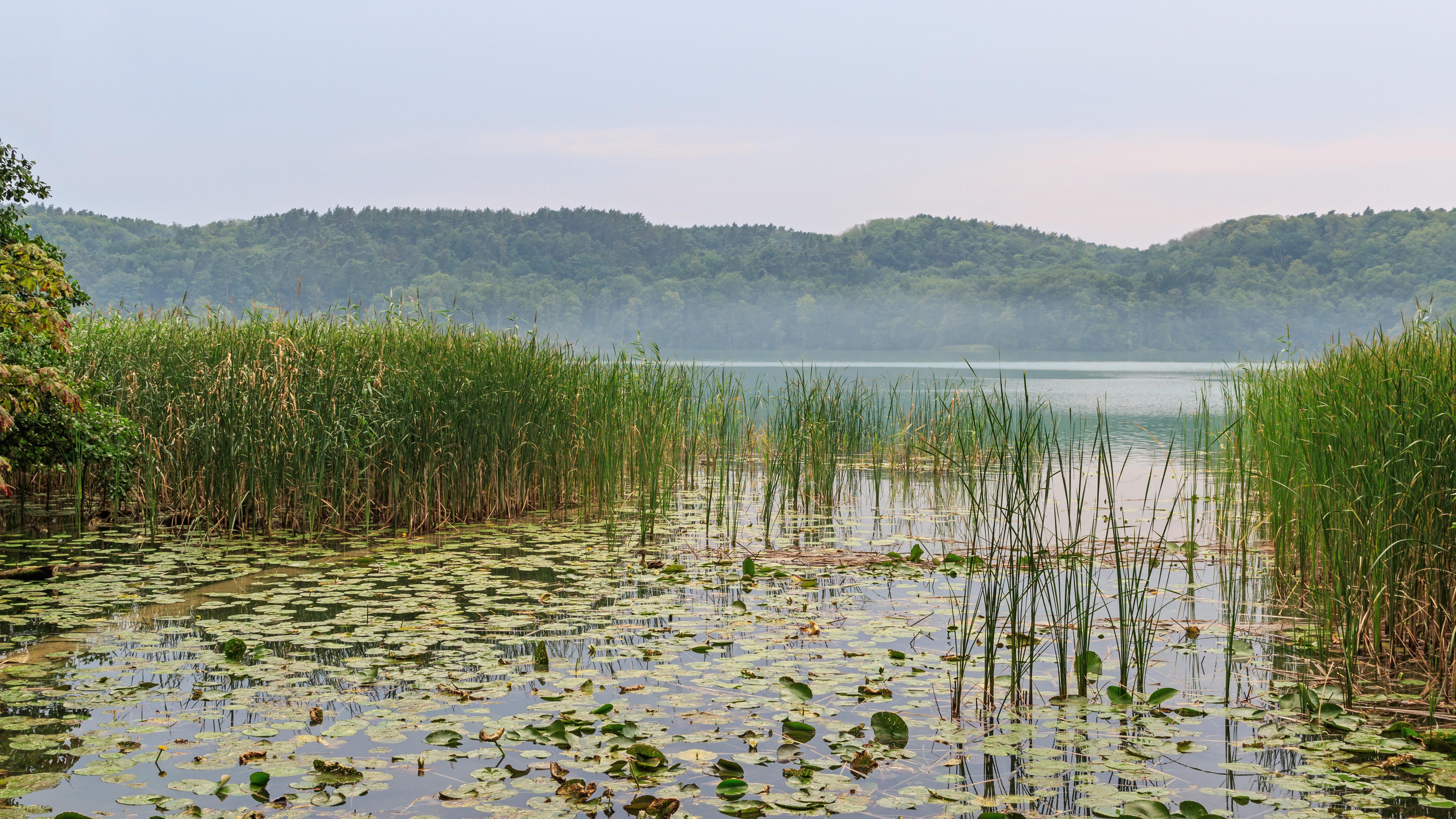 Naturpark Märkische Schweiz