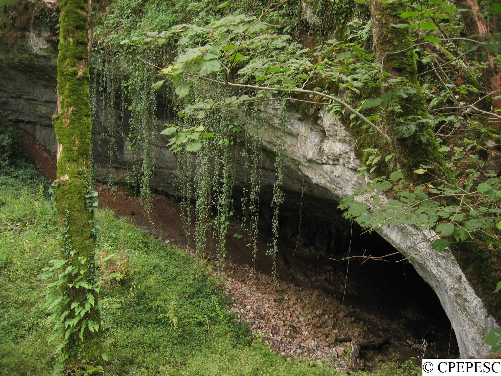 Reserve naturelle regionale de la grotte de la Baume noire