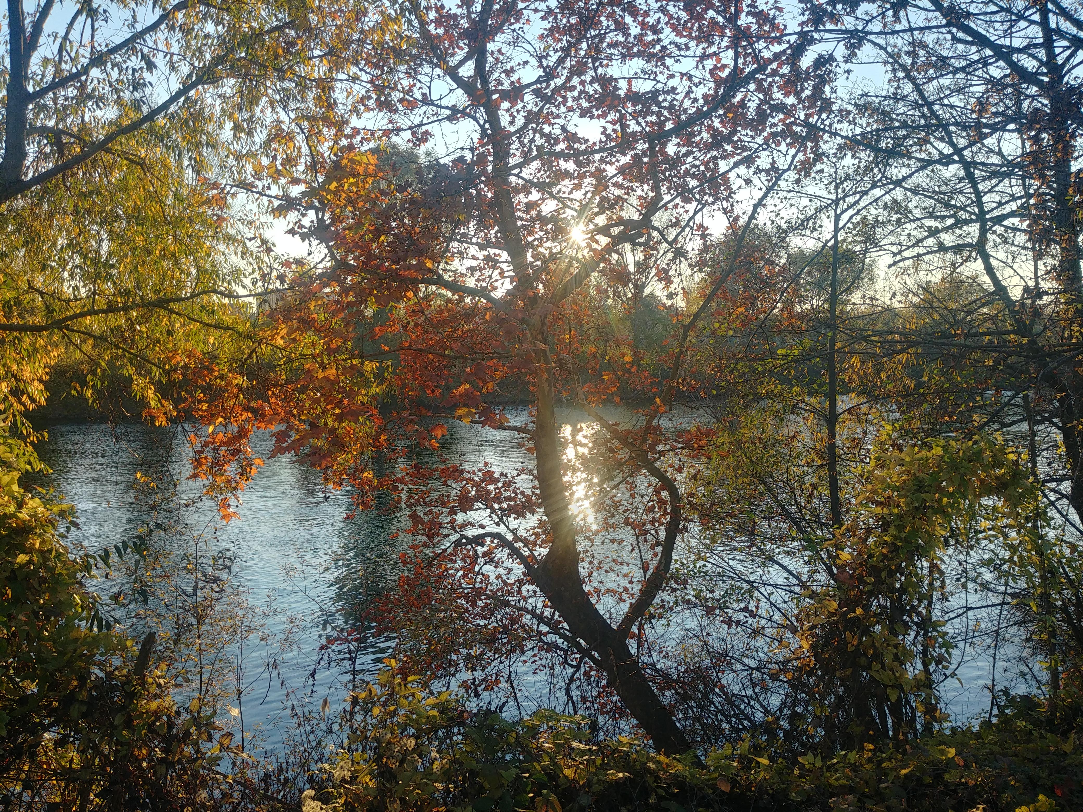 Parc departemental de L'Ile-Saint-Denis