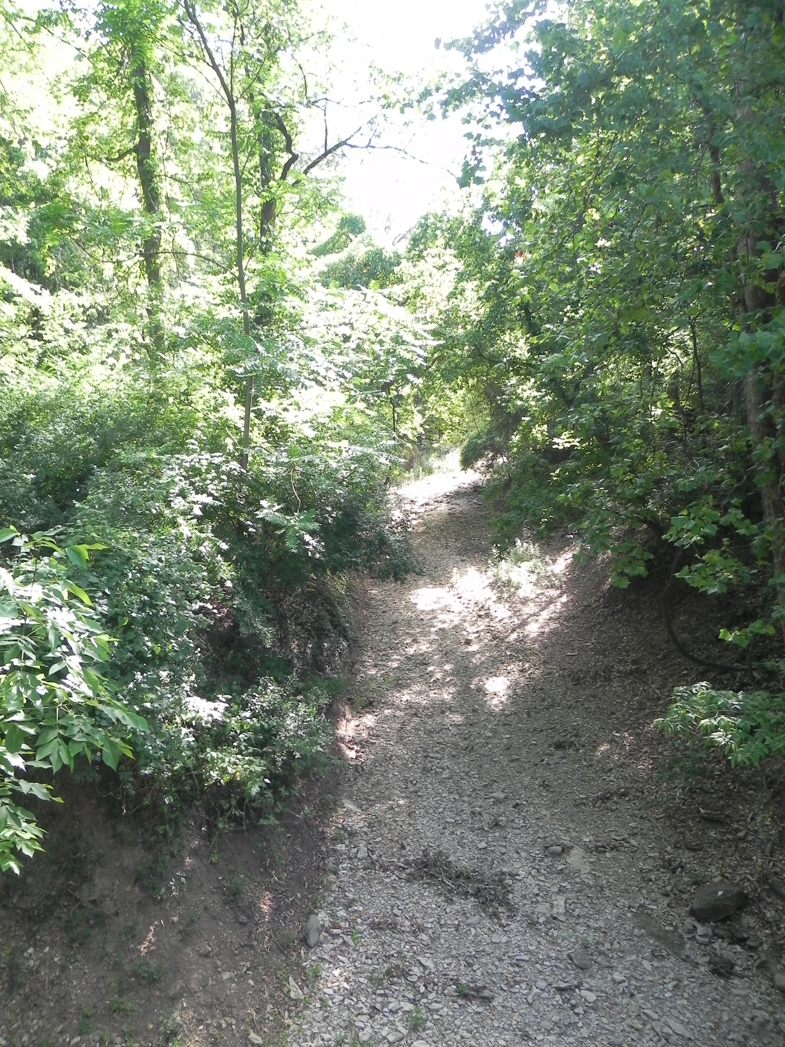 Possum Woods Conservation Area