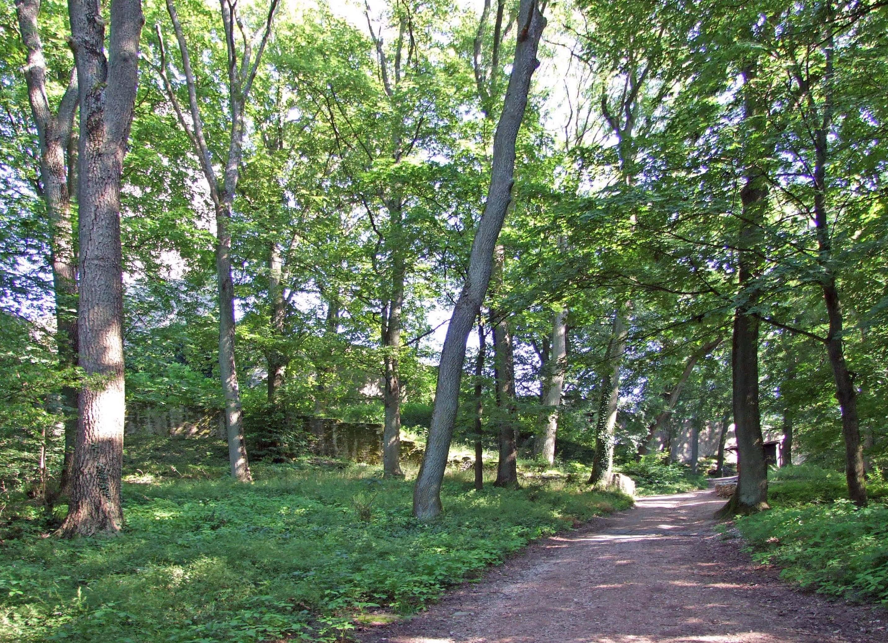 Burghain-Falkenstein