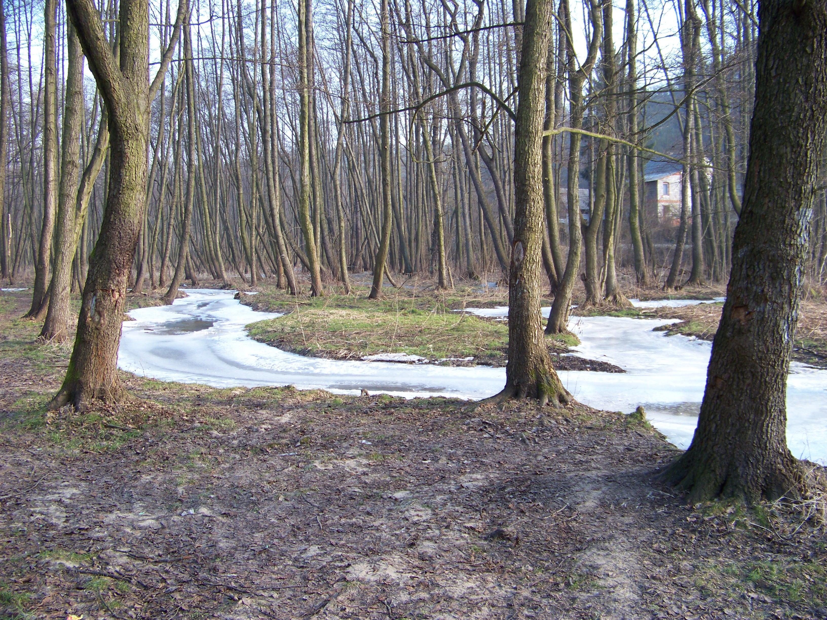 Mokrady dolni Libechovky