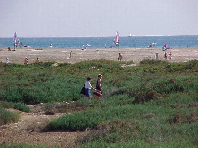 Matorral Strand