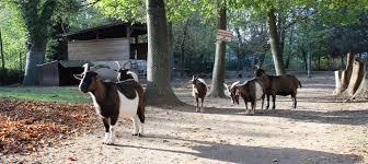 Parc animalier Friedel