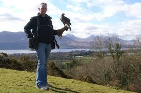 Killarney Falconry