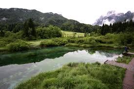 Naturreservat Zelenci