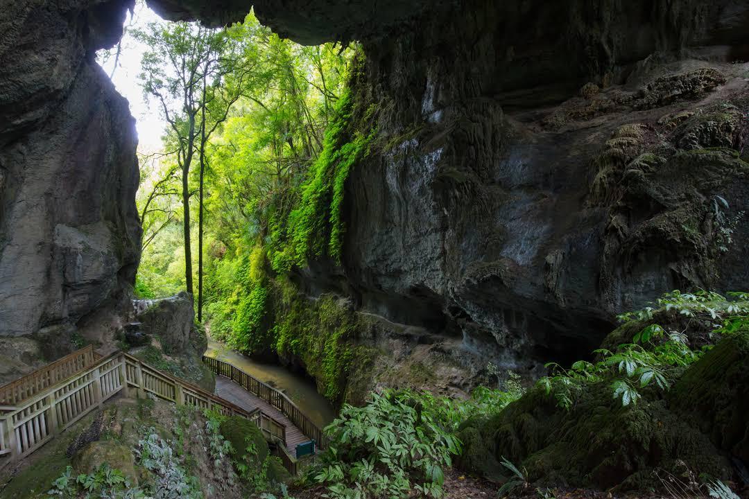 Cuevas de Waitomo