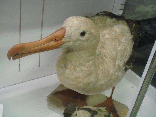 Archaeological Museum Nimes