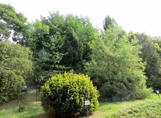 A. V. Fomin Botanical Garden