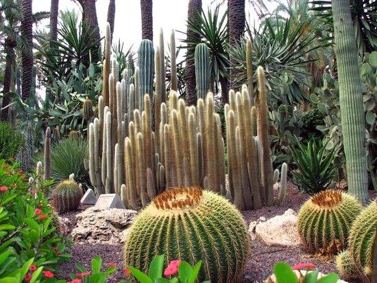 Palm Groves of Elche