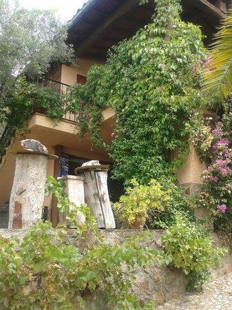 Aula Museo Abejas del Valle