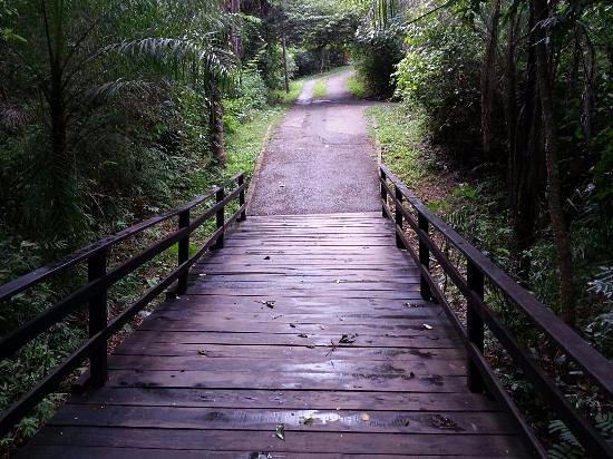 Parque Mãe Bonifácia