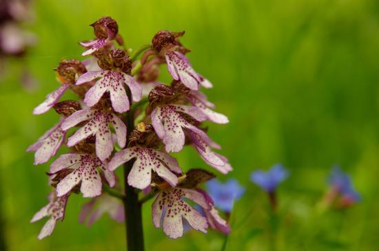 Parco dei Gessi Bolognesi