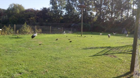 Parc de loisirs De Brielmeersen