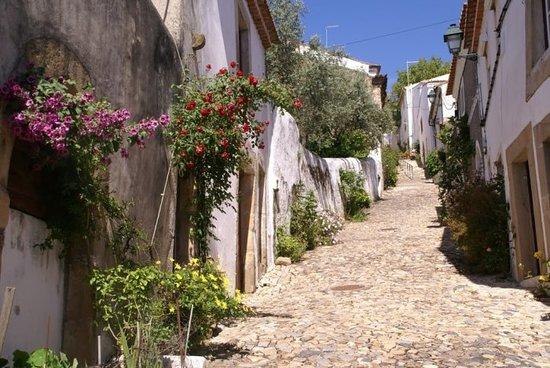 Castle of Castelo de Vide