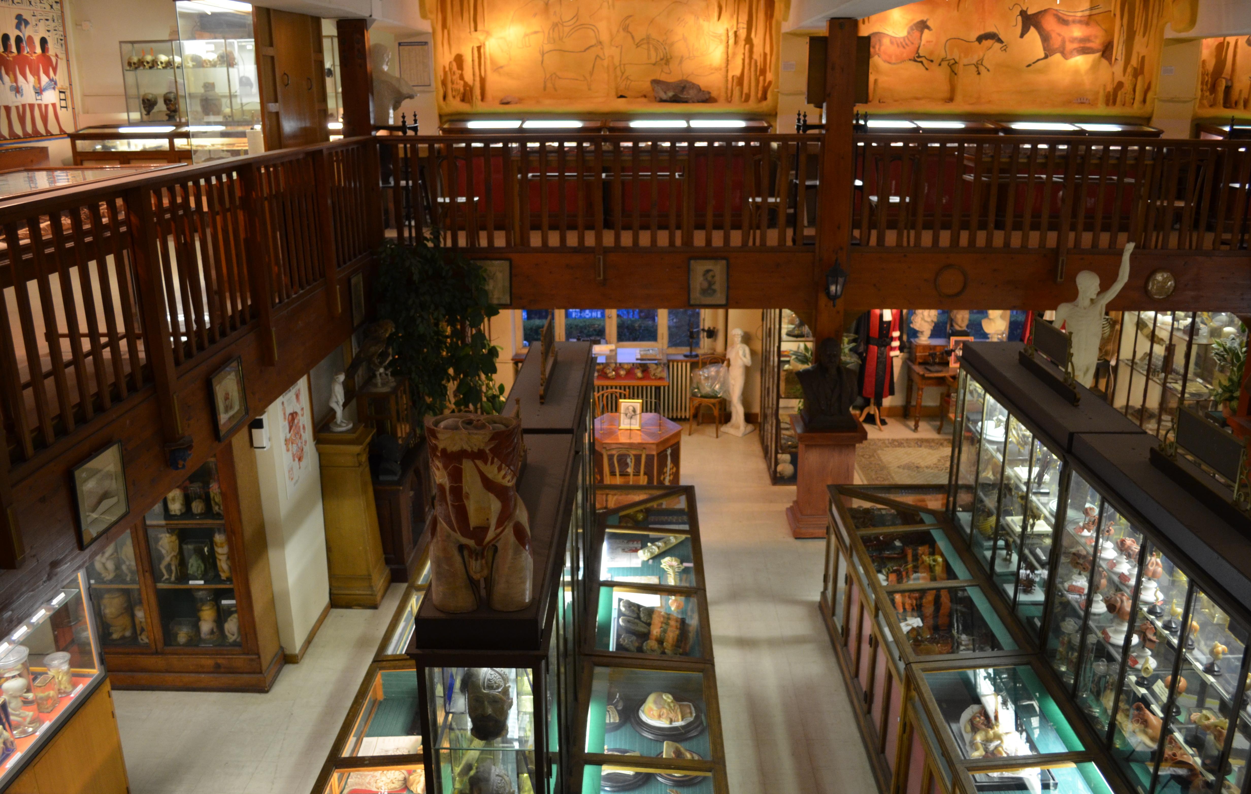 Musee Testut-Latarjet