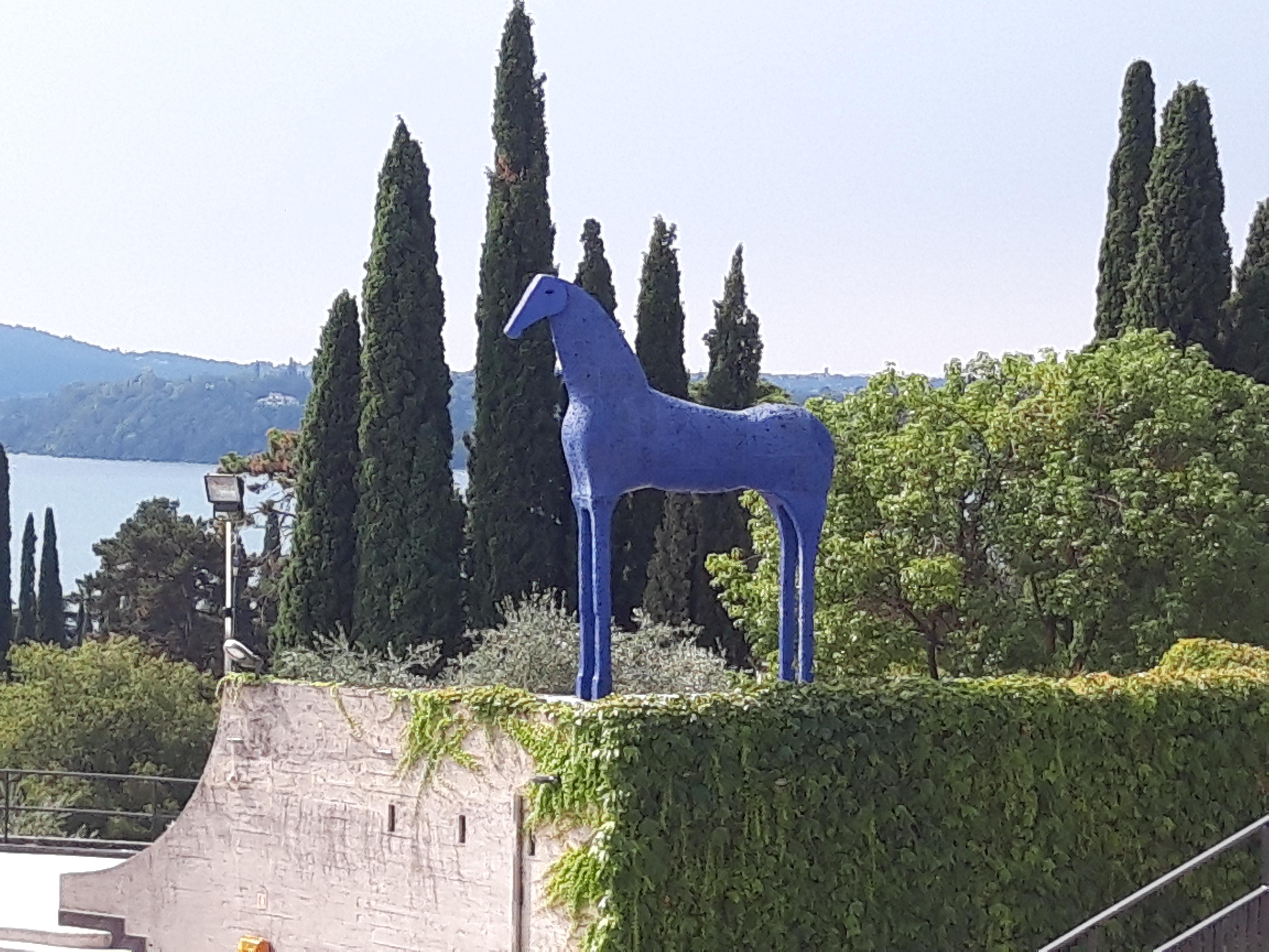 Cavallo Blu