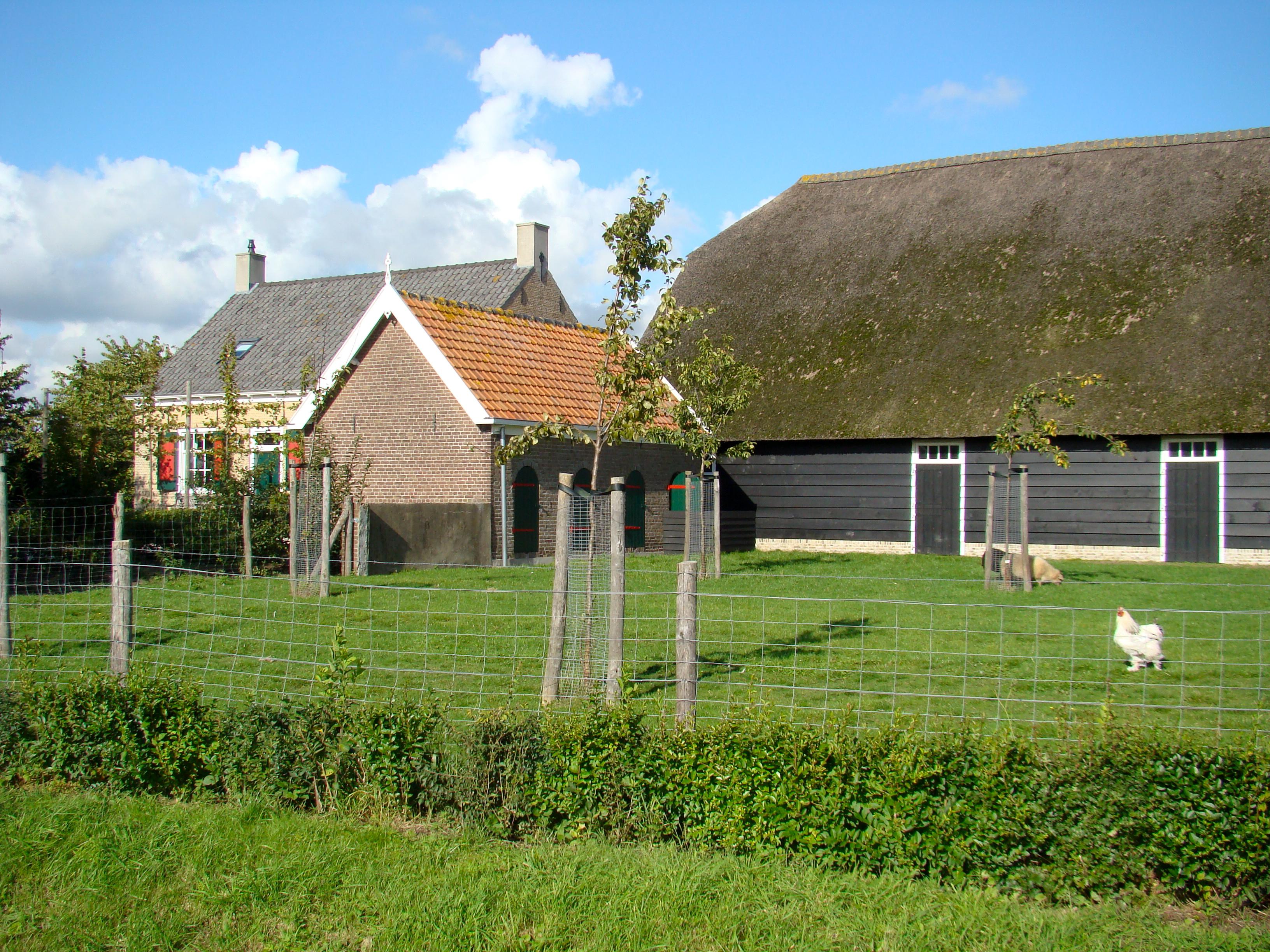Geertruidshof