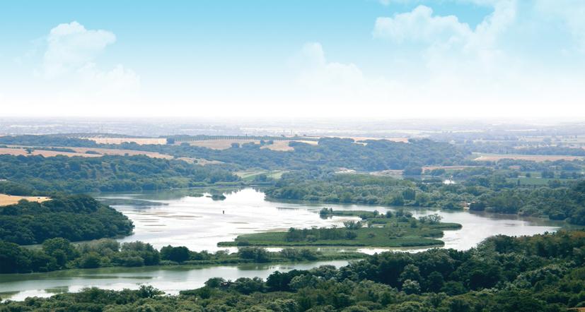 Riserva naturale di Nazzano