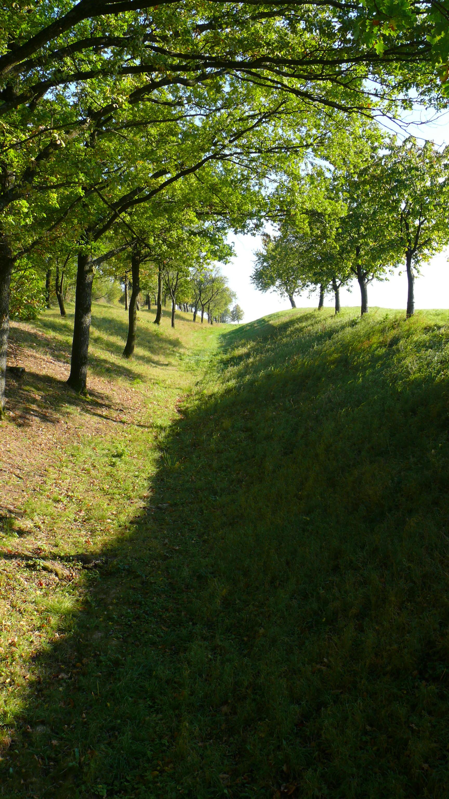 Keltisches Oppidum Finsterlohr-Burgstall