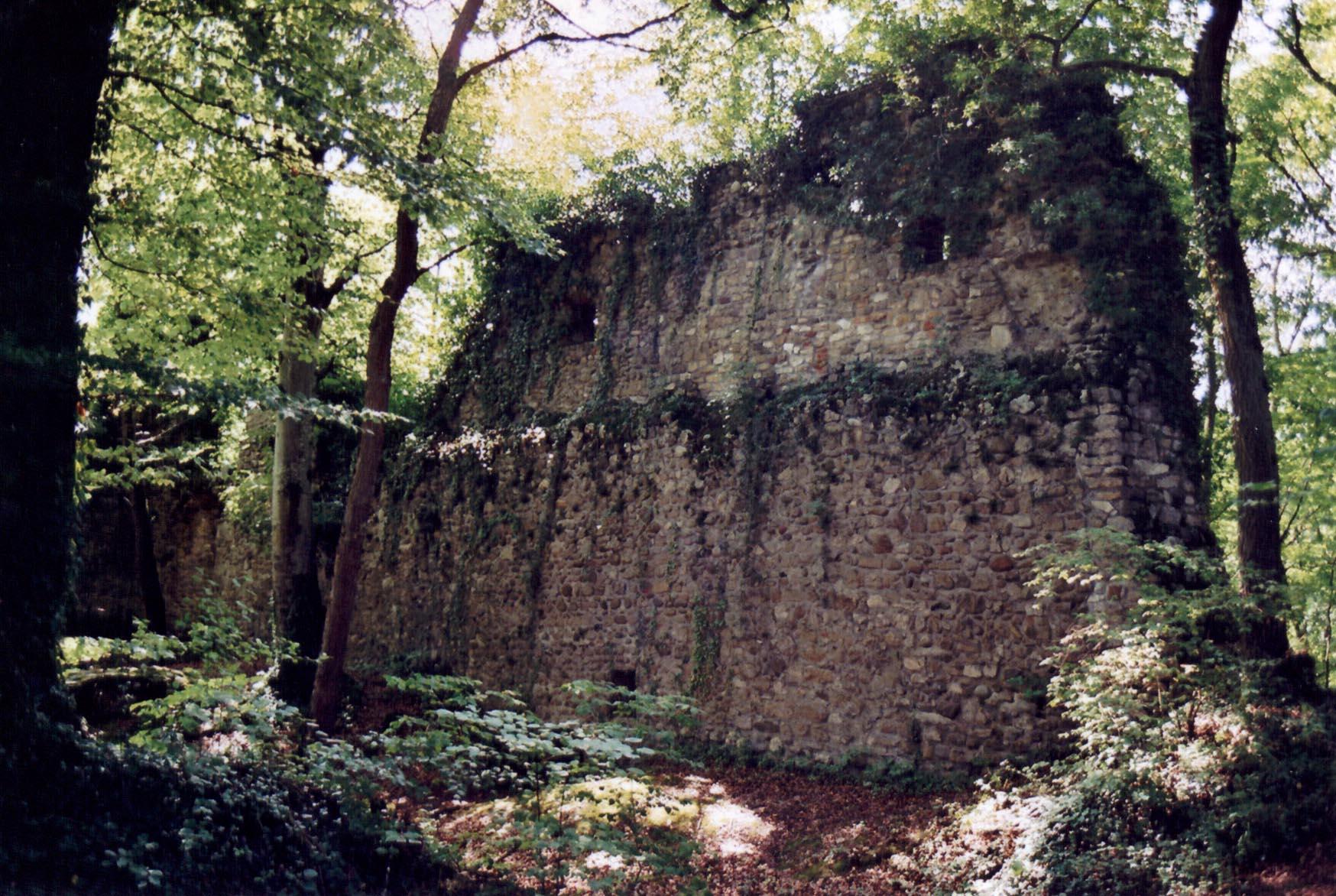 Burgruine Weisswasserstelz
