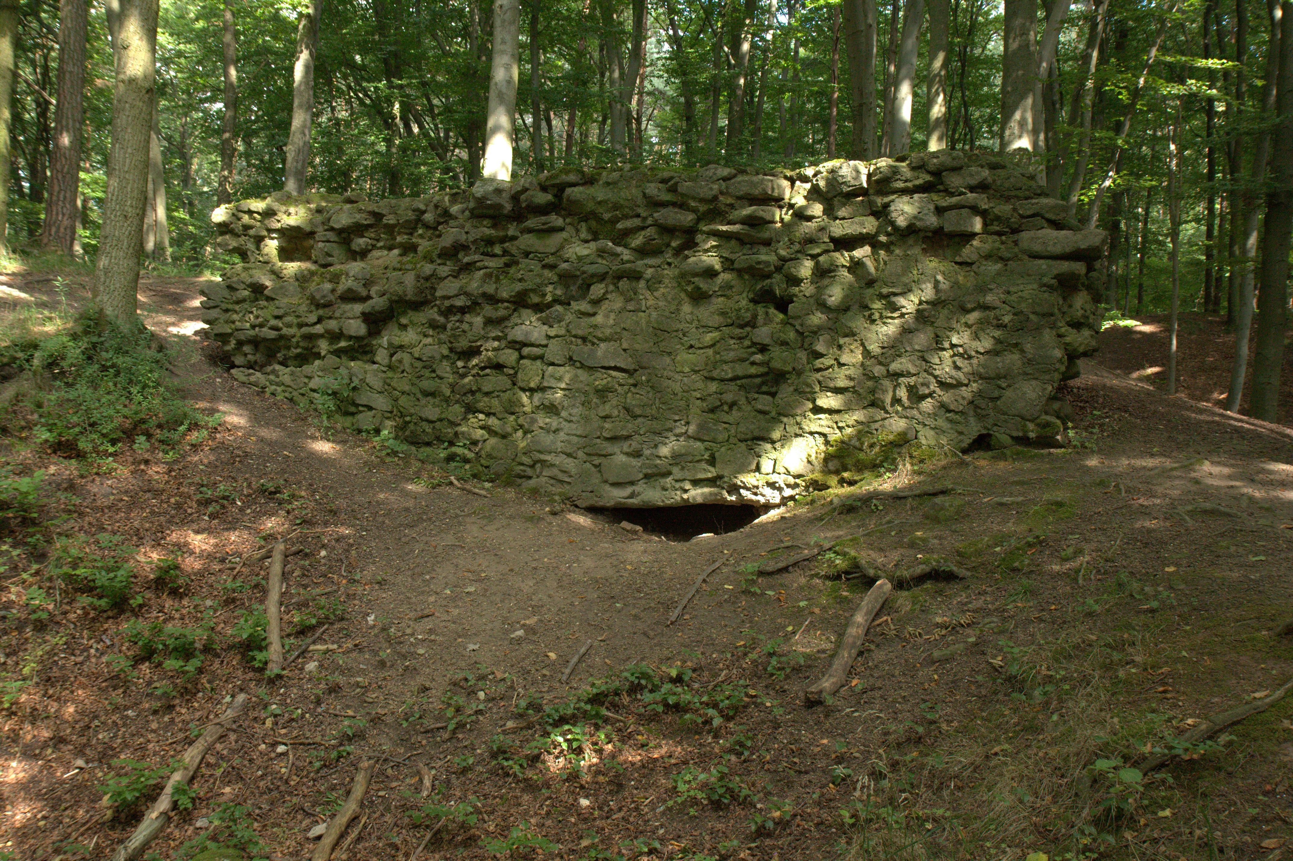 Burgruine Schauerberg