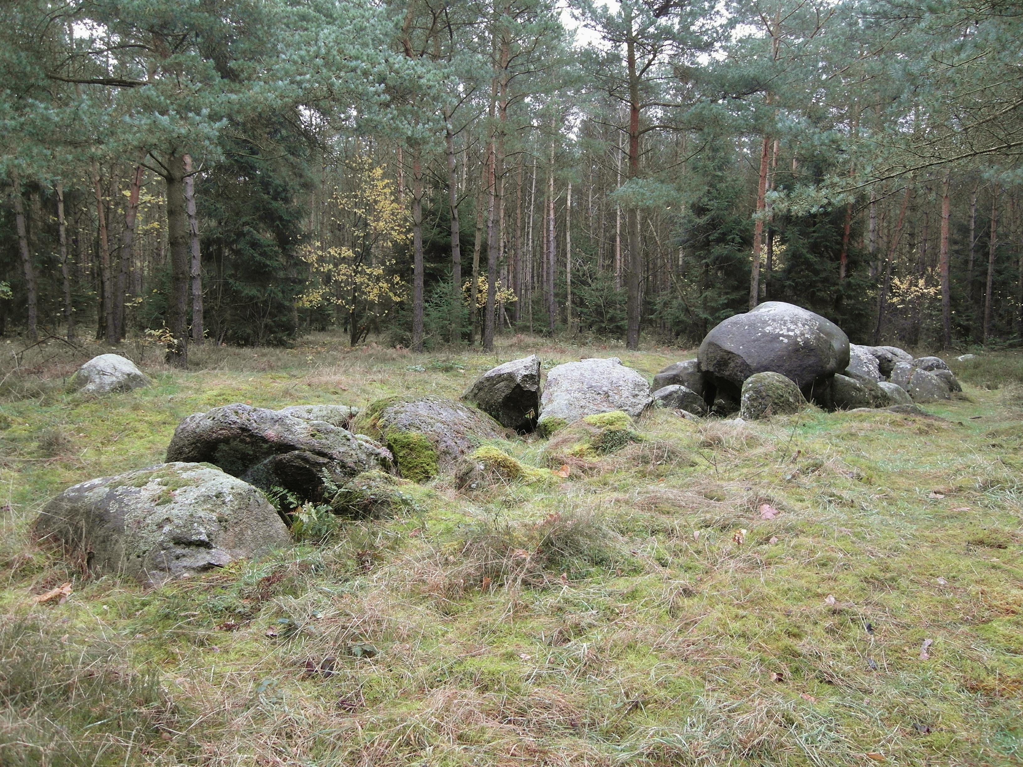 Großsteingrab auf dem Radberg