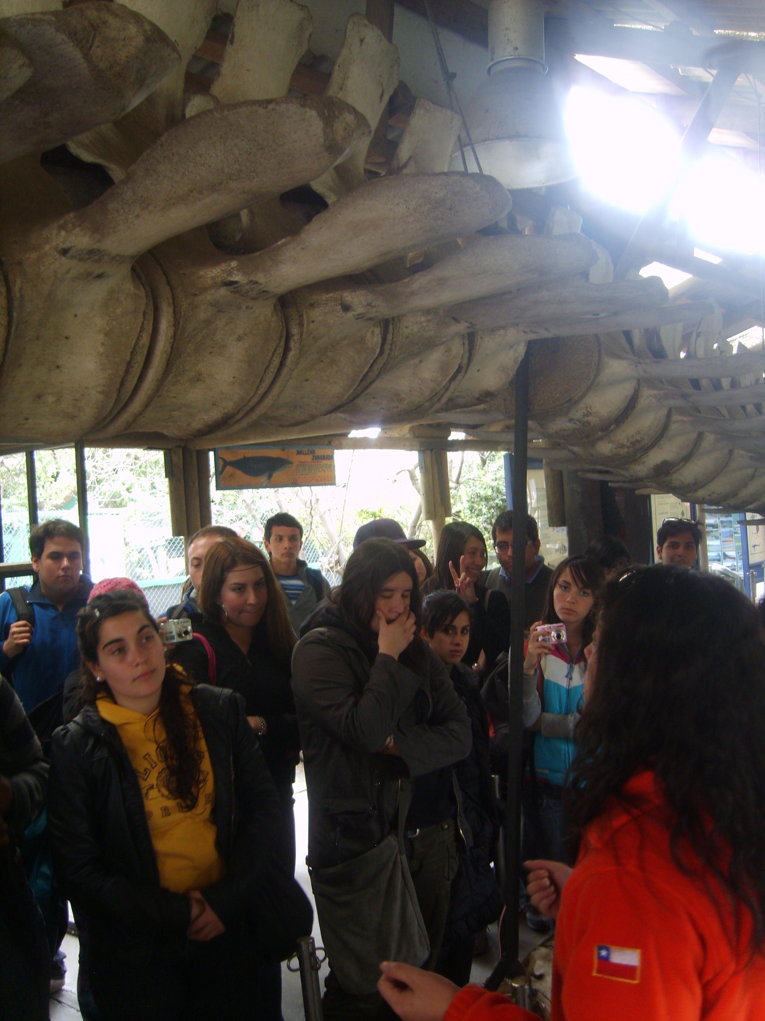 Museo de Historia Natural e Histórico de San Antonio