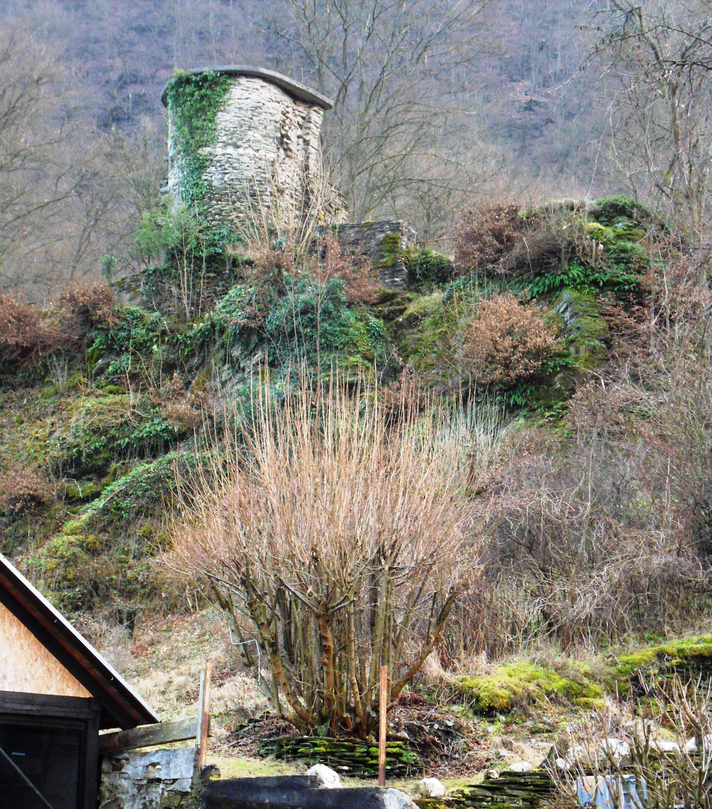 Burg Geroldstein