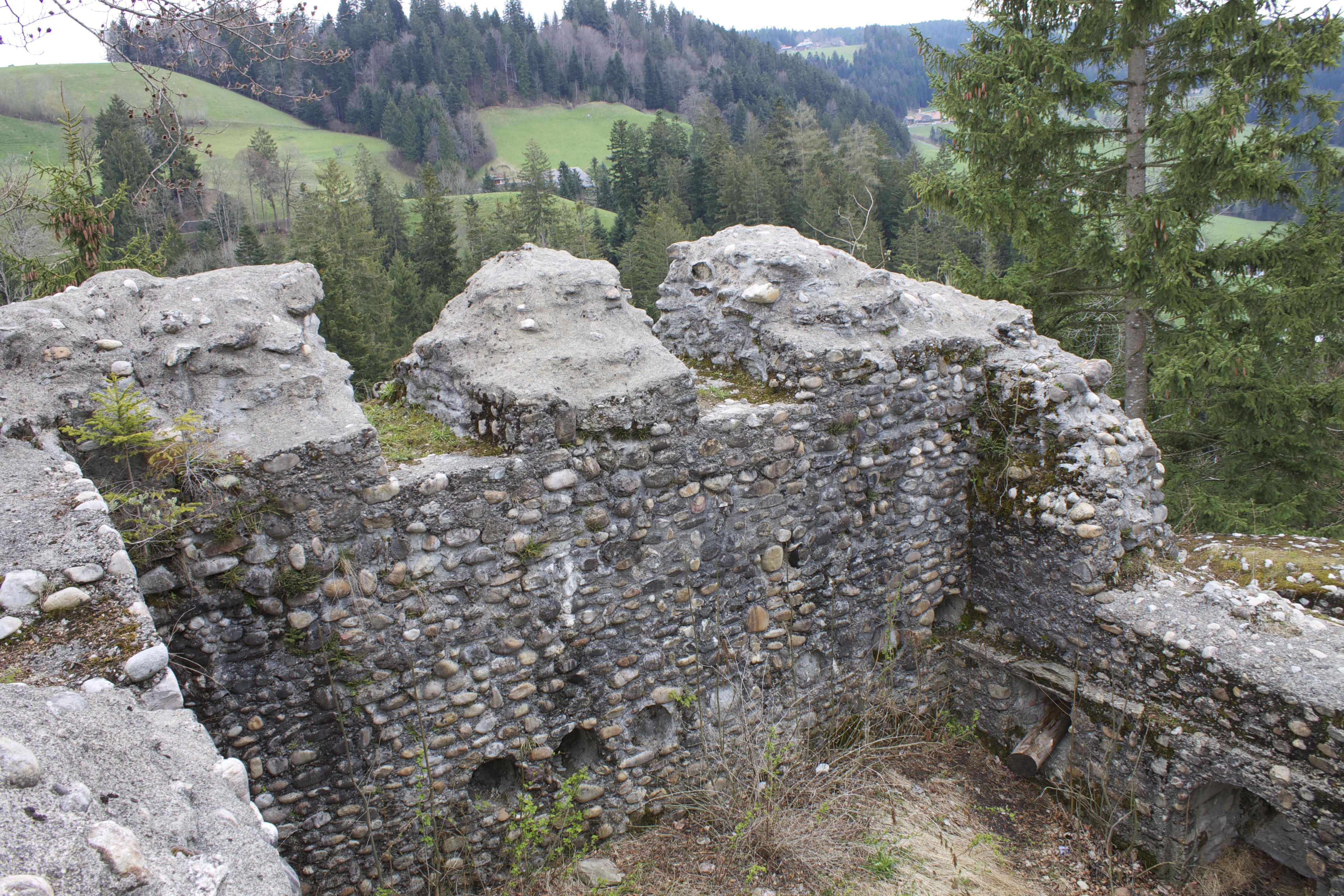 Ruine Alt-Signau