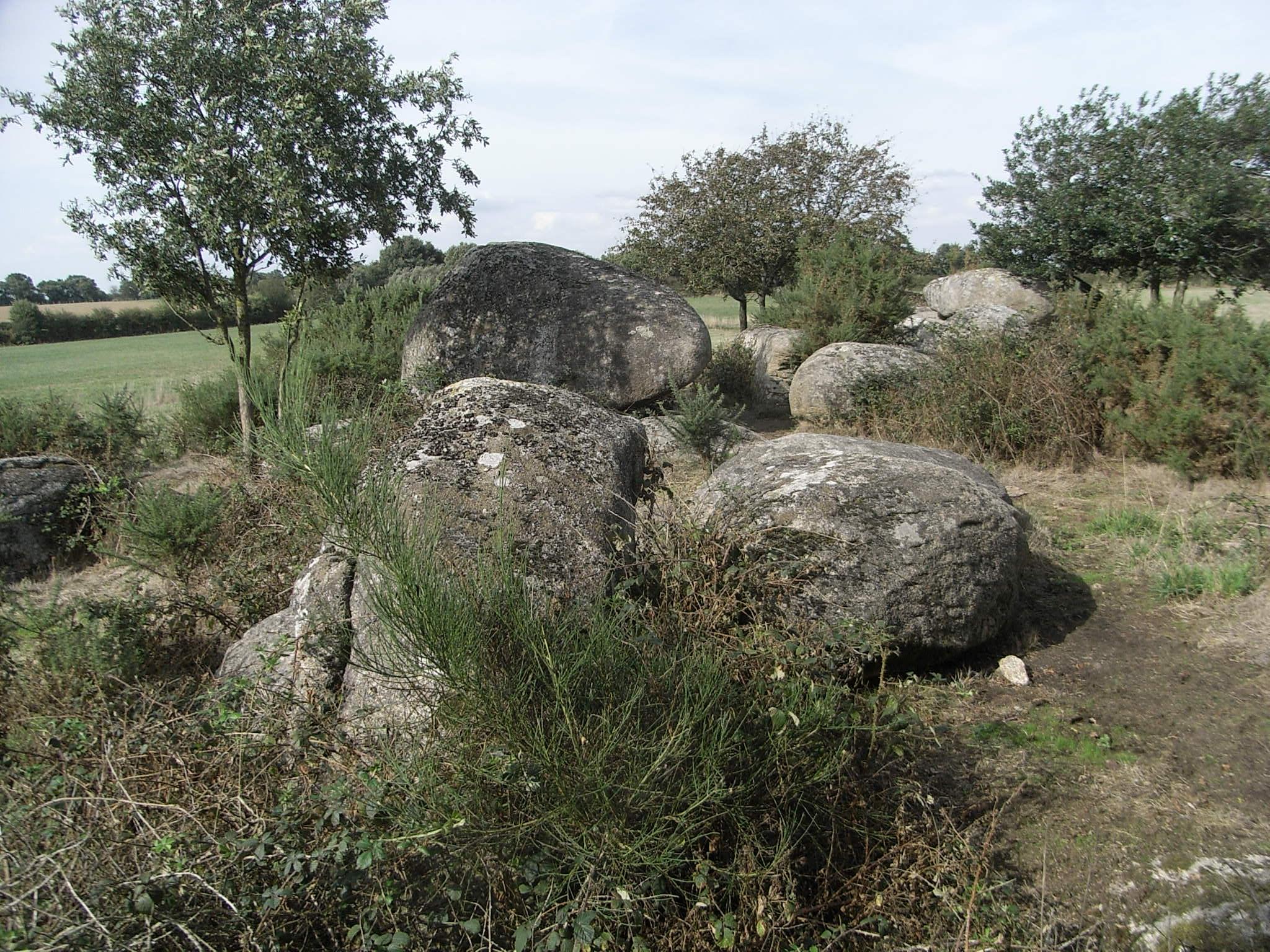 Menhir dit La Haute-Borne