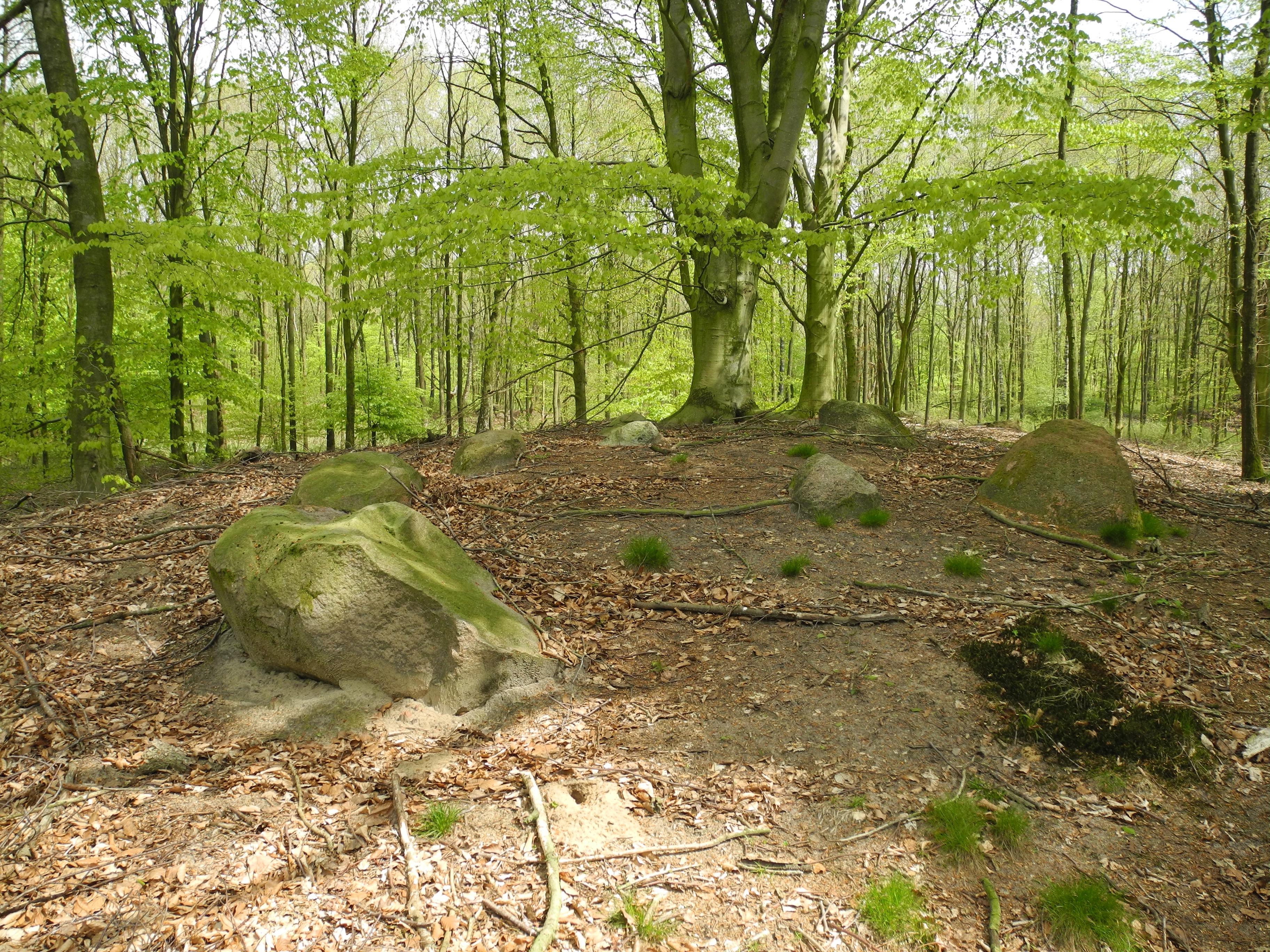 Großsteingräber im Fuhrenkamp