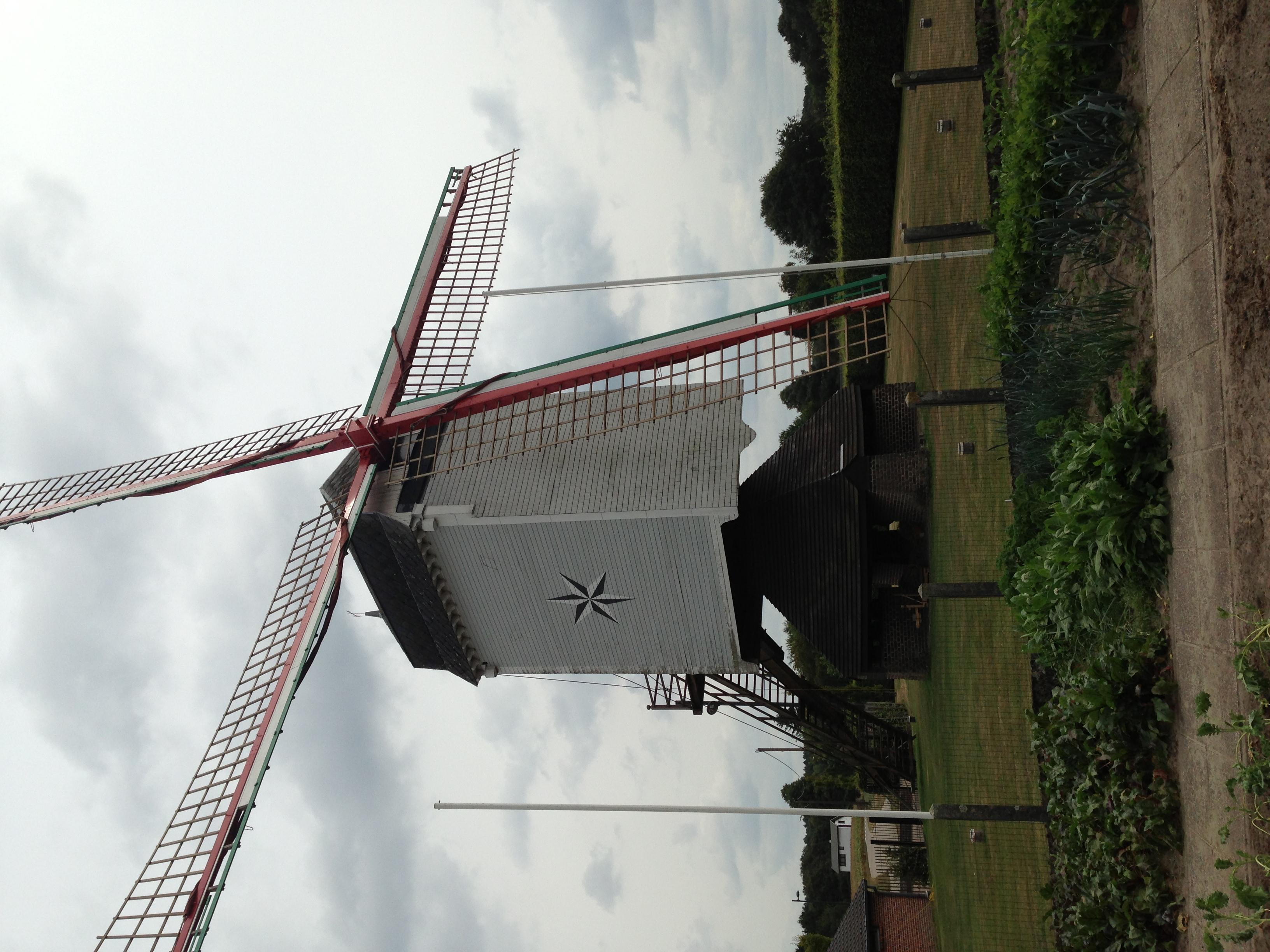 Stermolen