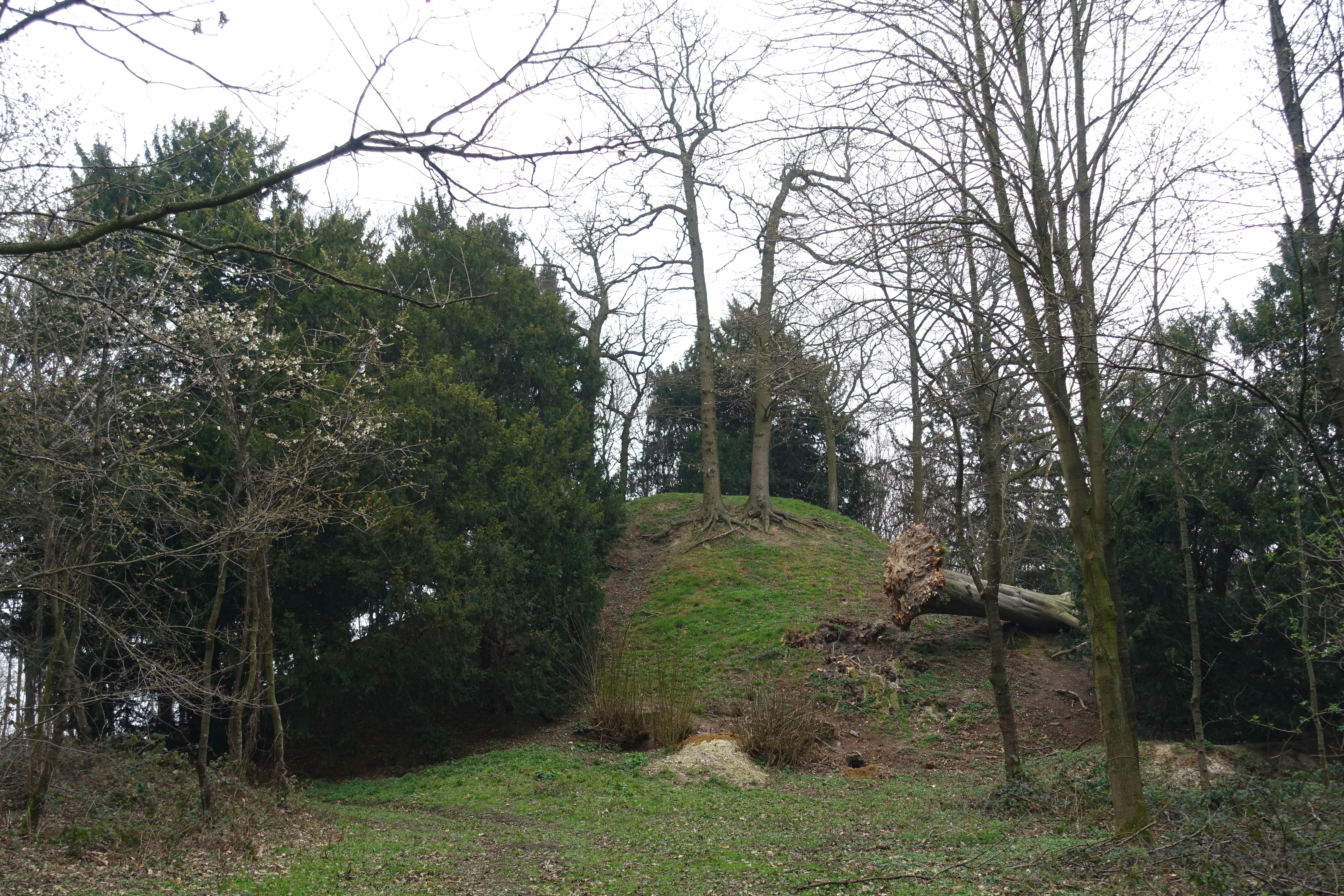 Tumulus van Herderen