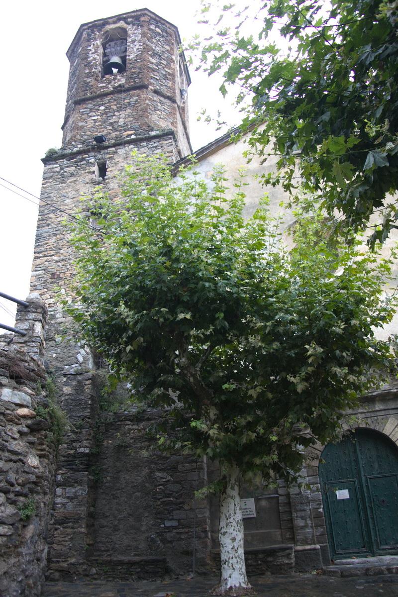 Mare de Deu de Valldeflors de Rialb