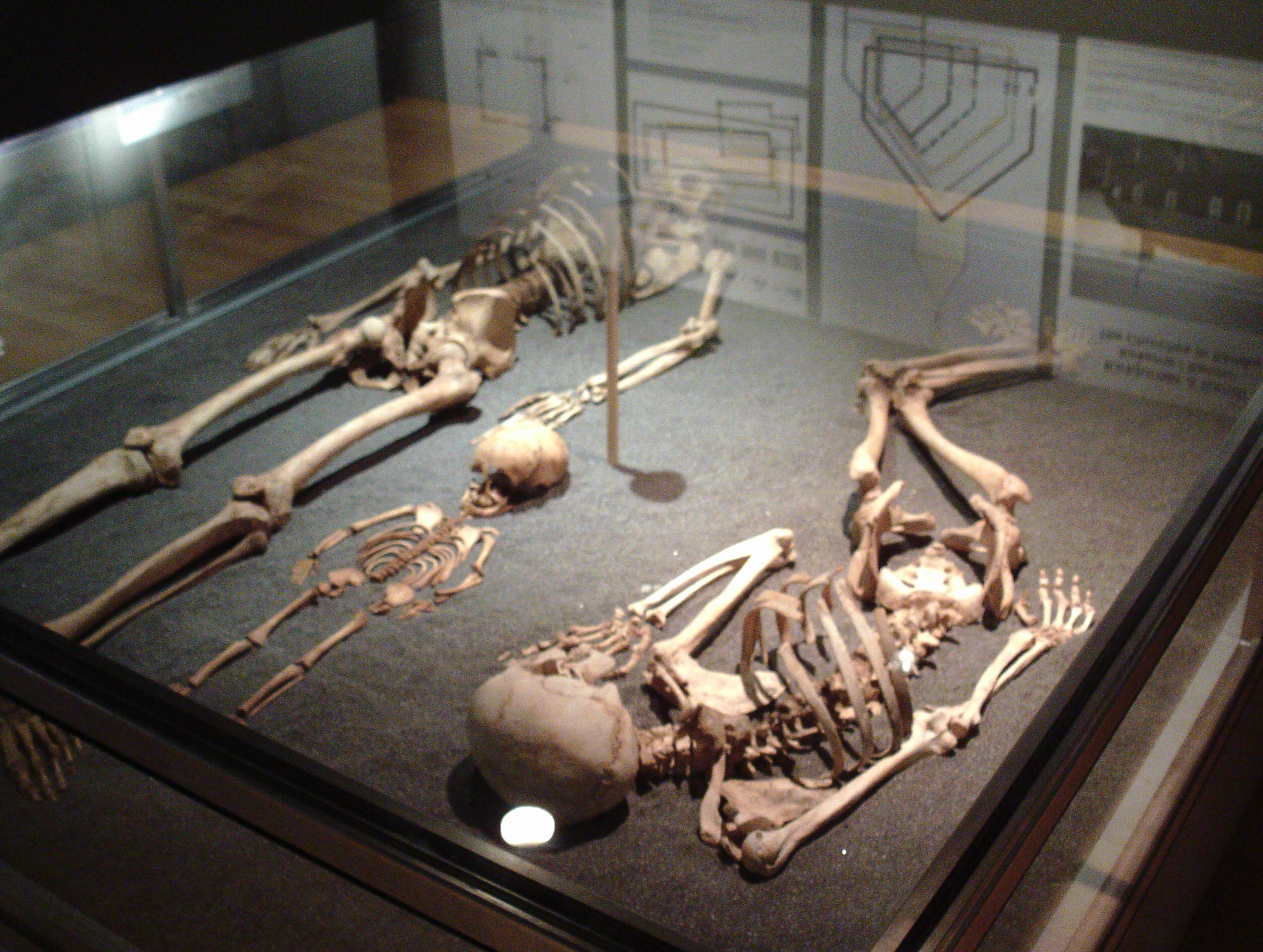 Nationaal museum van de Faeröer