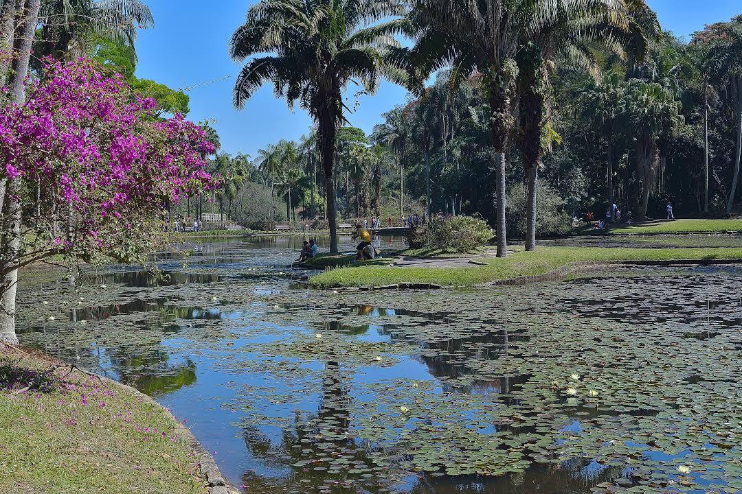 Jardim Botânico de São Paulo