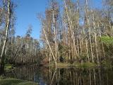 Shingle Creek Regional Park