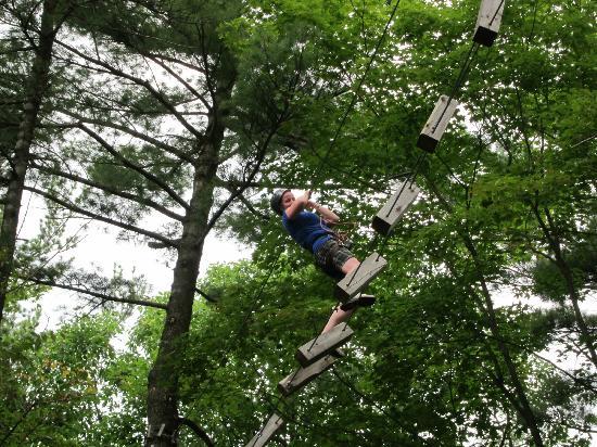 Muskoka Zip Lines & Aerial Park