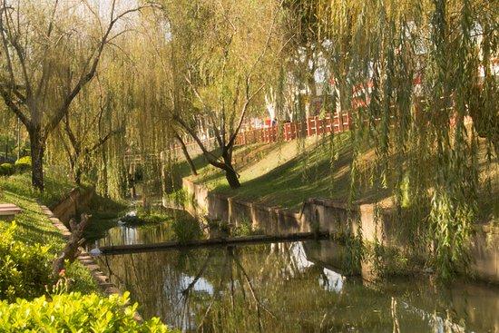 Square Brazil 500 Years