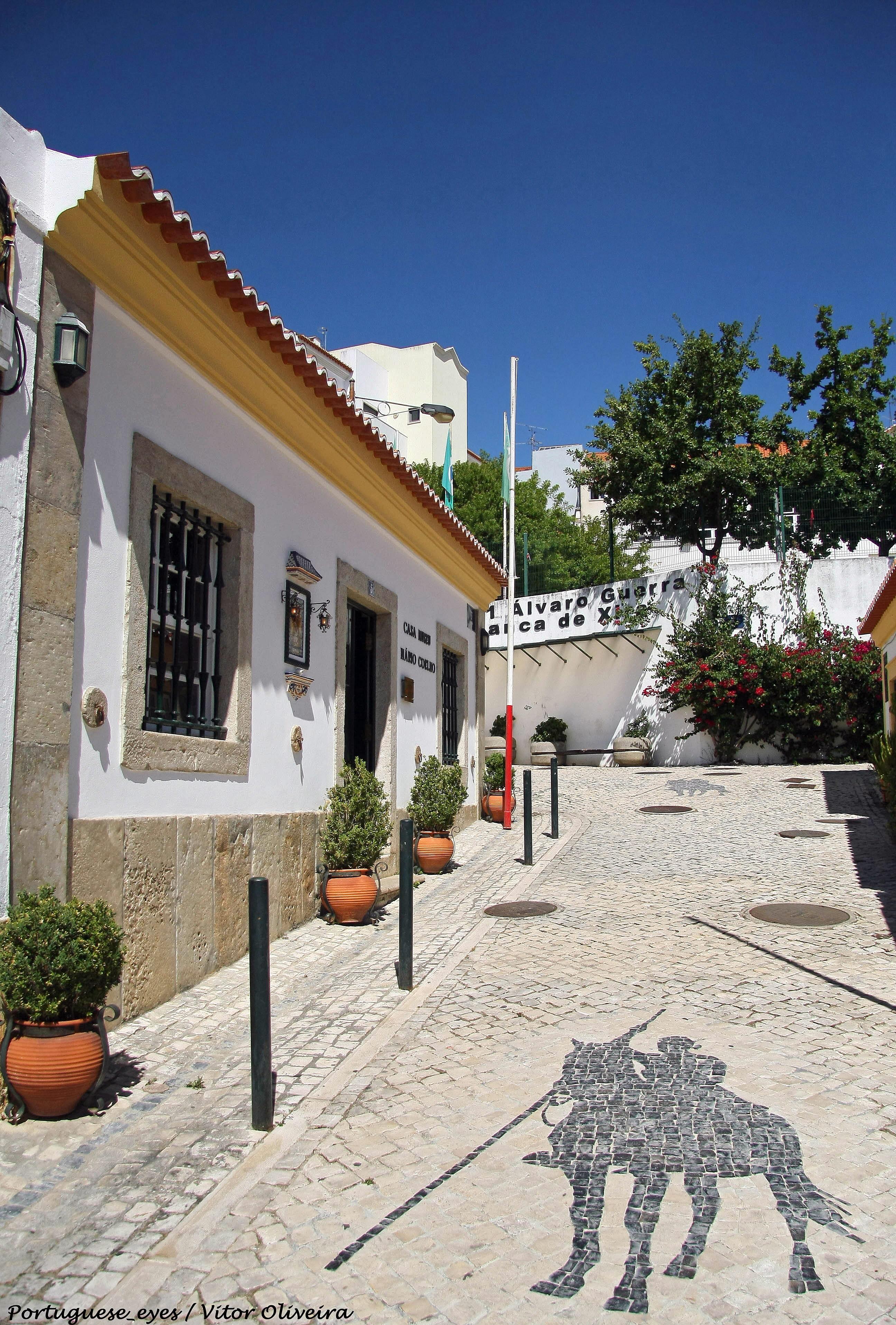 Casa Museu Mario Coelho