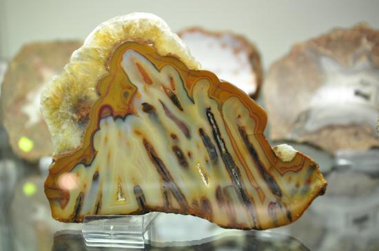 Muzeum Ziemi w Kletnie