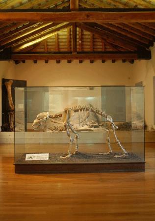 Museo la Terra e l'uomo